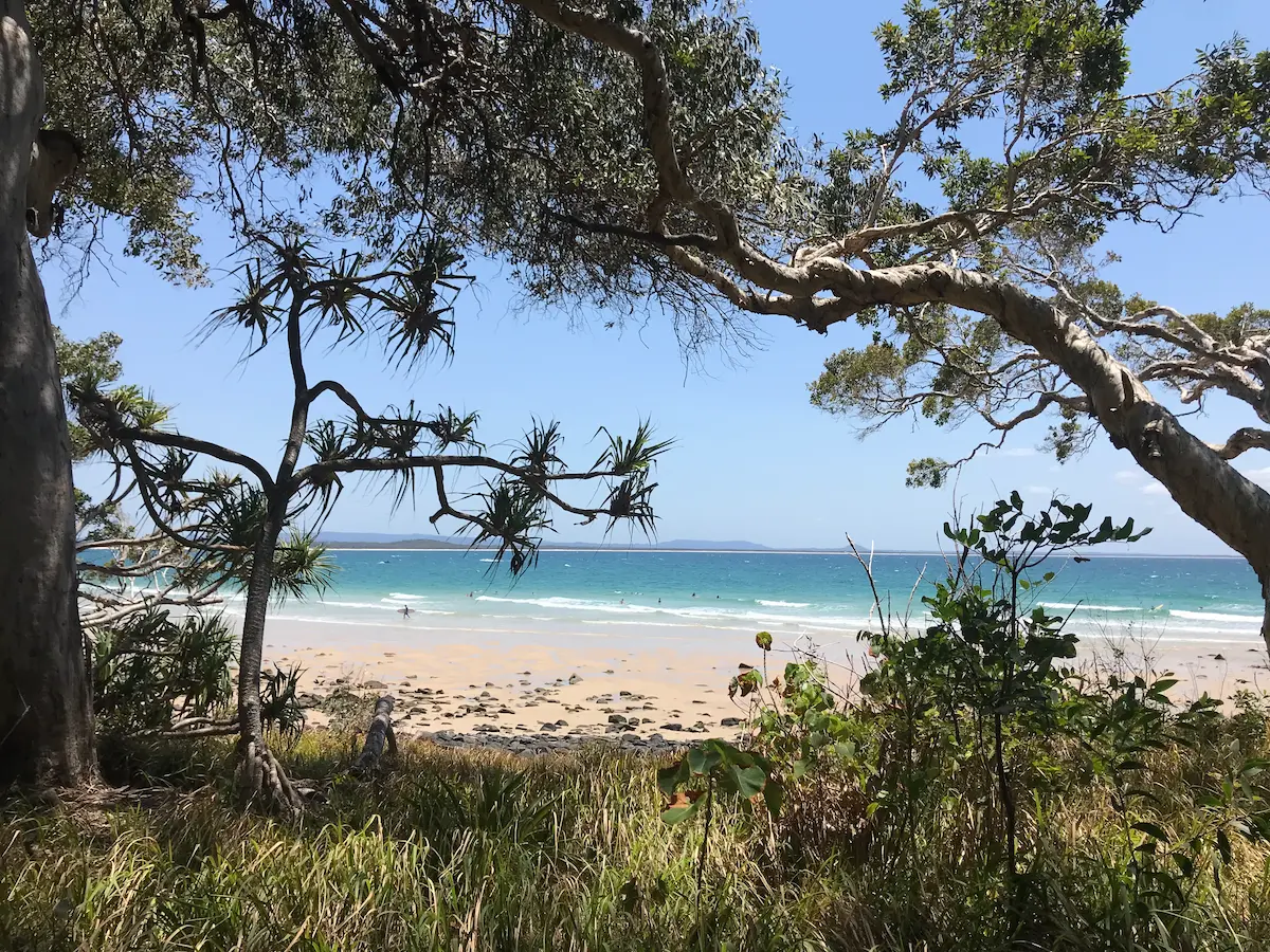 Tea Tree Bay, Noosa